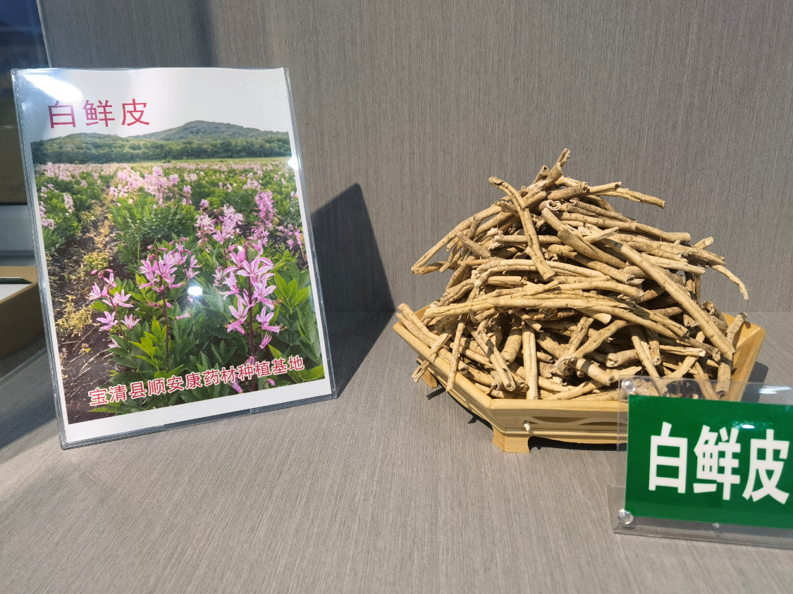 黑龙江宝清“天府之城”打造“中国白鲜皮之乡”