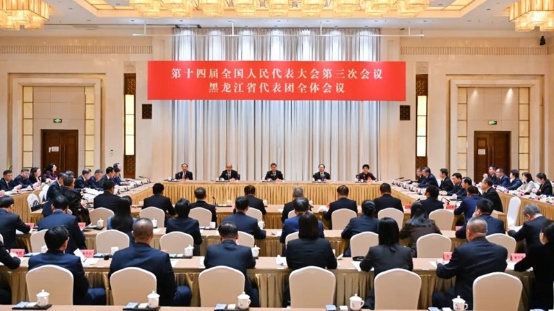 出席十四届全国人大三次会议黑龙江省代表团召开第一次全体会议