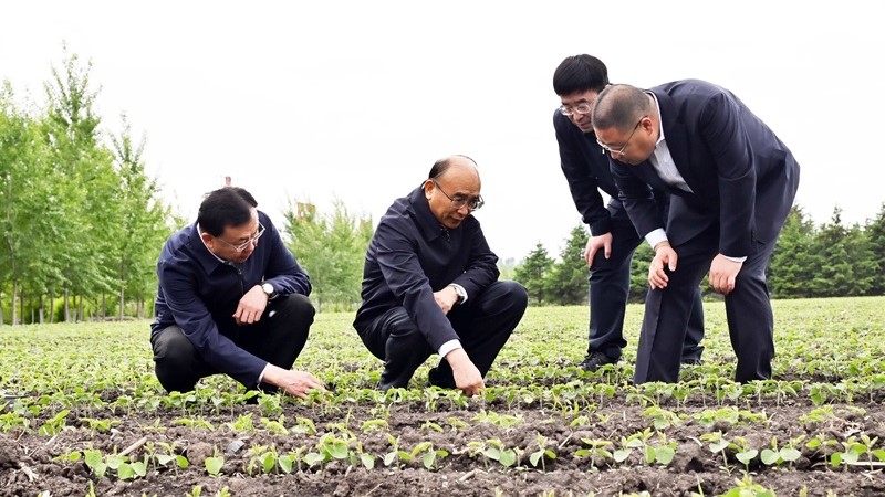 许勤到绥化市海伦市调研